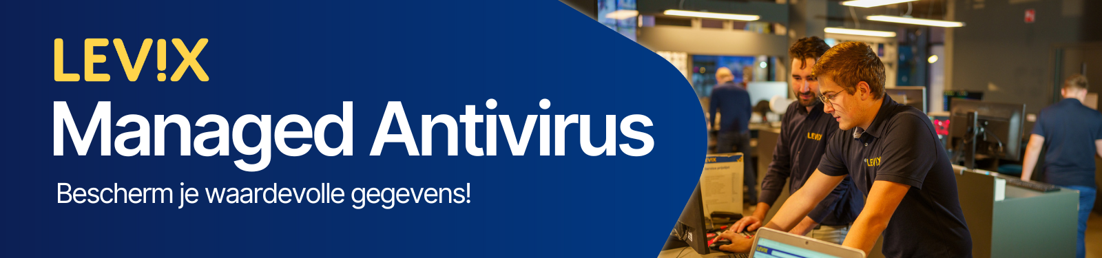 Managed Antivirus- Banners Diensten Levix Site (2)